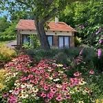 Kali Panorama Kishaz דירה